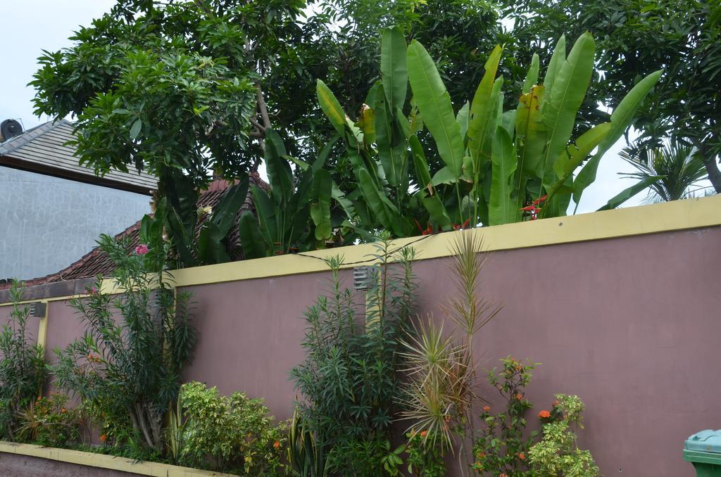 Villa Eva Canggu Eksteriør billede